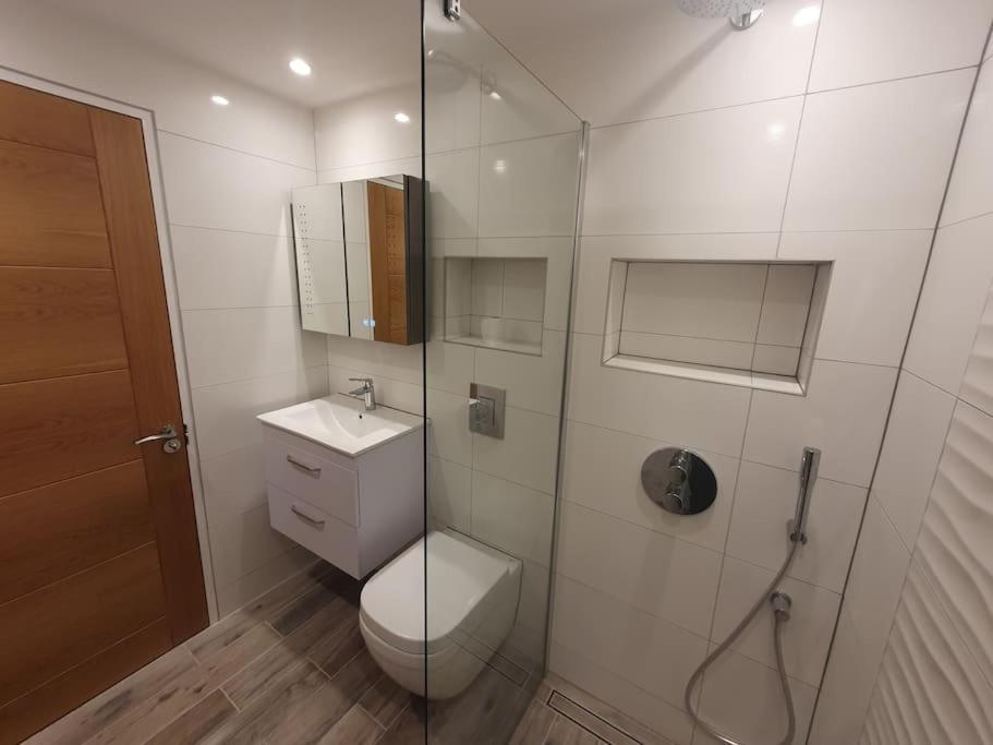Luton Town Centre Executive Apartment Екстер'єр фото